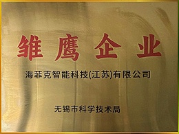 雏鹰企业